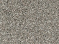 F145_ST2 Sardo Granite